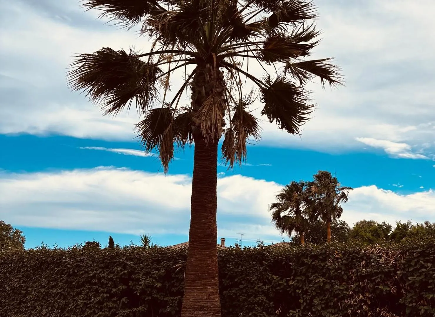 Studio Bord De Mer Frejus 0*,  France